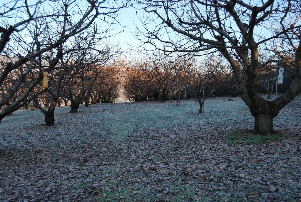 Tenuta Fortelongo Fara Vicentino Dış mekan fotoğraf