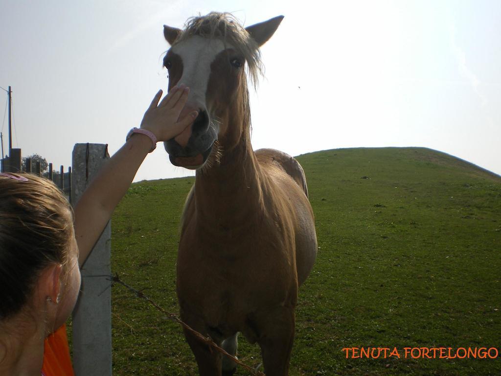 Tenuta Fortelongo Fara Vicentino Dış mekan fotoğraf