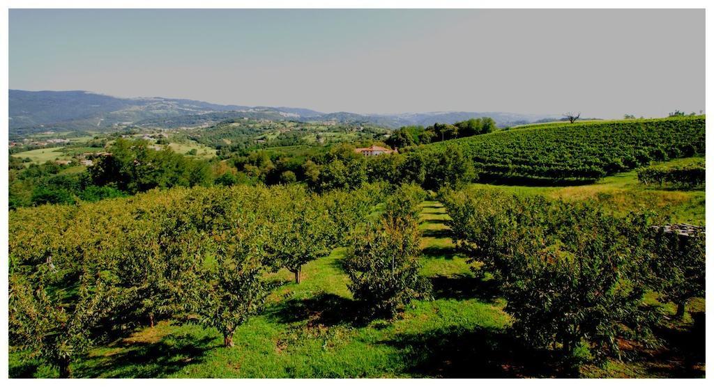 Tenuta Fortelongo Fara Vicentino Oda fotoğraf